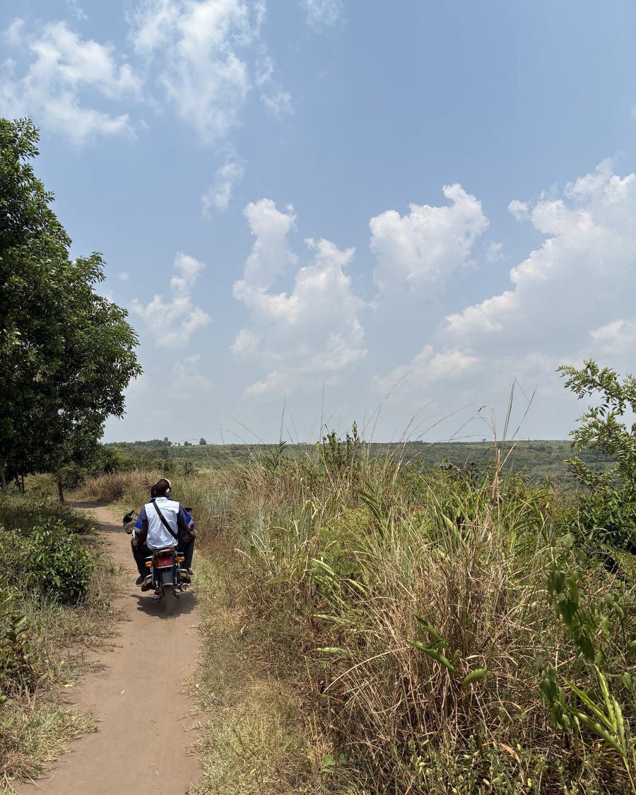 On the track to the hives, Kongo Central