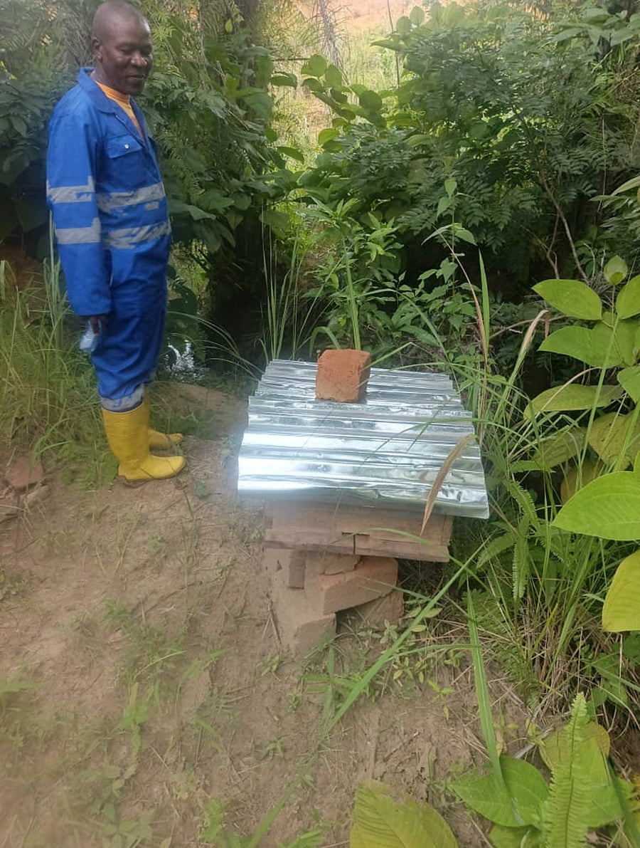 Our agronomist, beside a hive at the forest edge, Kongo Central